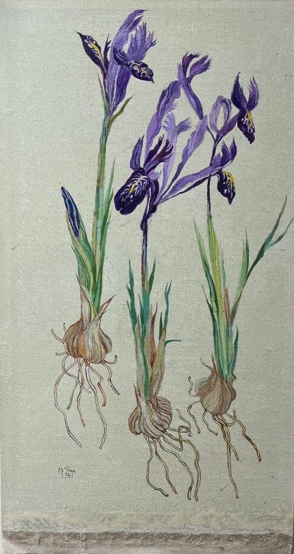 JENNIFER MCRAE, Spring Irises
