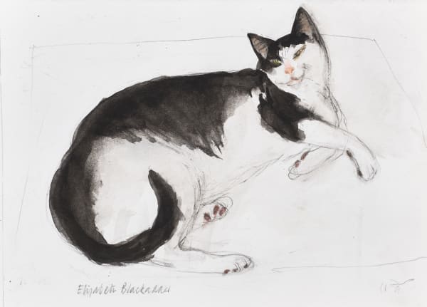 ELIZABETH BLACKADDER, Untitled - Toby, c. 2011