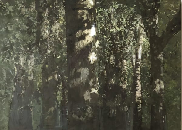 EILEEN HOGAN, Hyde Park, Plane Trees, 2018