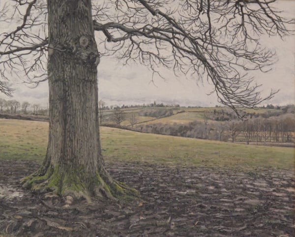 EDMUND CHAMBERLAIN, Oak Tree, Winter