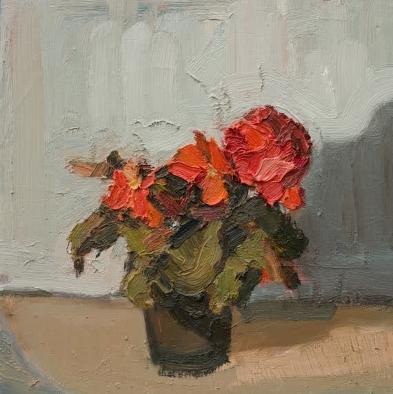 DUNCAN WOOD, Begonia I