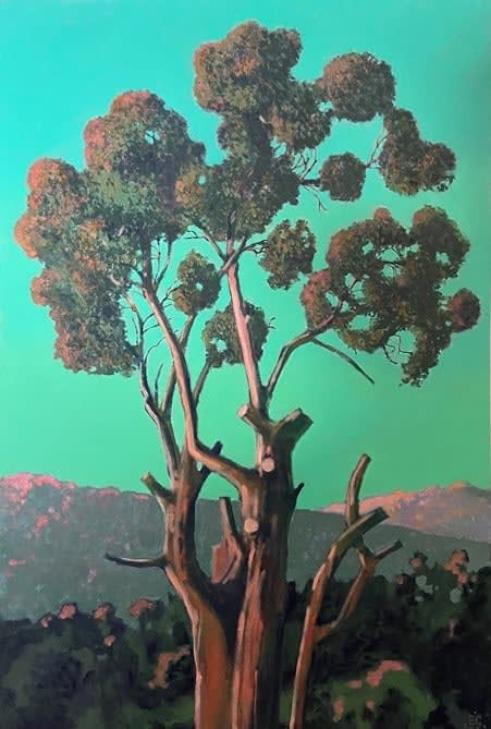 ED GILBERT, Eucalyptus, 2021