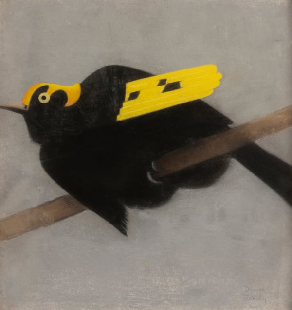SIMON BUSSY, Australian Regent Bird