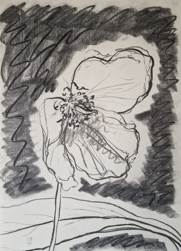 TIMOTHY BETJEMAN, Meconopsis Study III