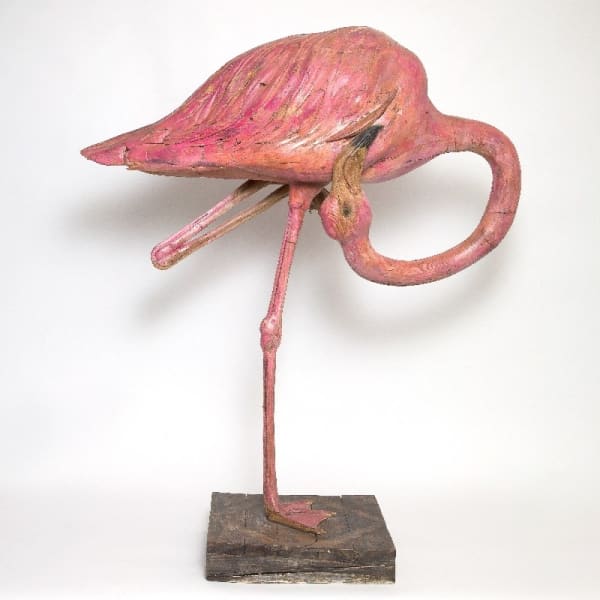 NICHOLAS JOHNSON, Flamingo