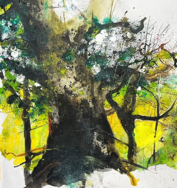 KIERAN STILES, Cornbury Oak, 2025