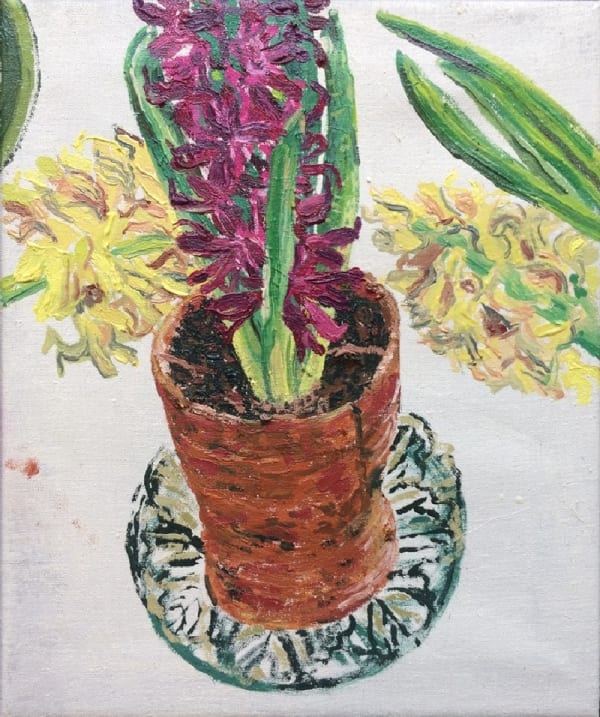 SUSAN WILSON, Hyacinths in Feb, 2017