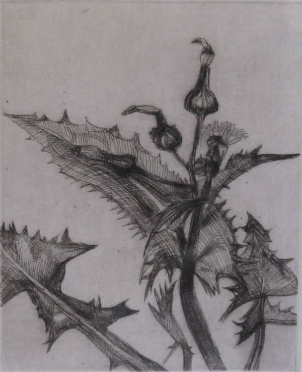 LUCIAN FREUD, Thistle, 1985