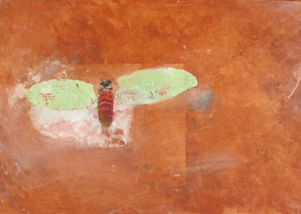 ANTHONY FRY, Cicada, Green Wings