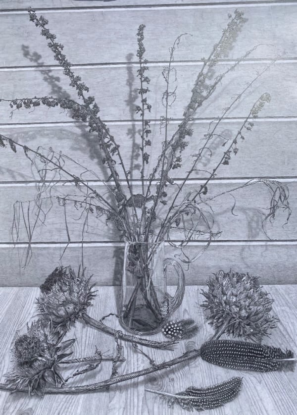 EDMUND CHAMBERLAIN, Still Life with Thistle Heads, 2022