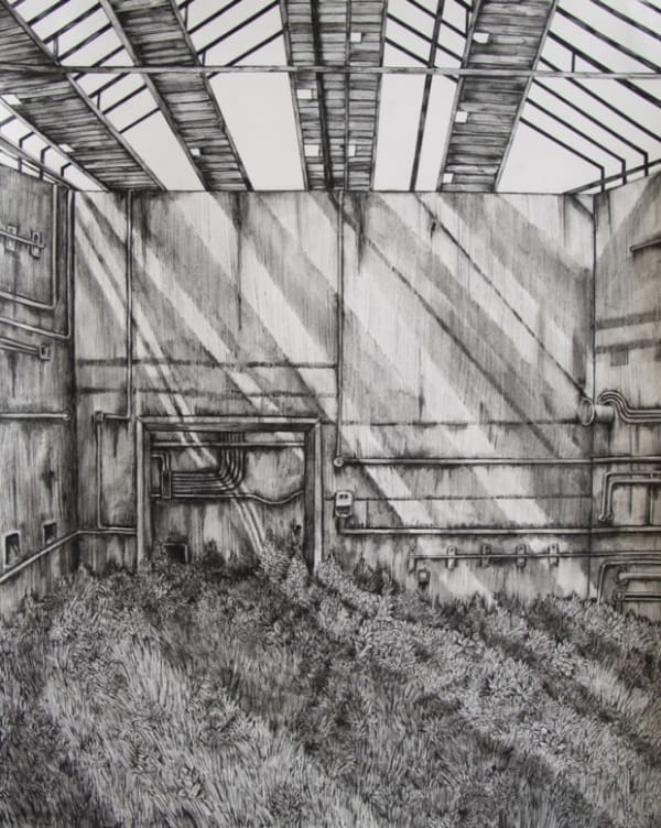 OLIVIA KEMP, I Thought It Was The Birds They Built It For