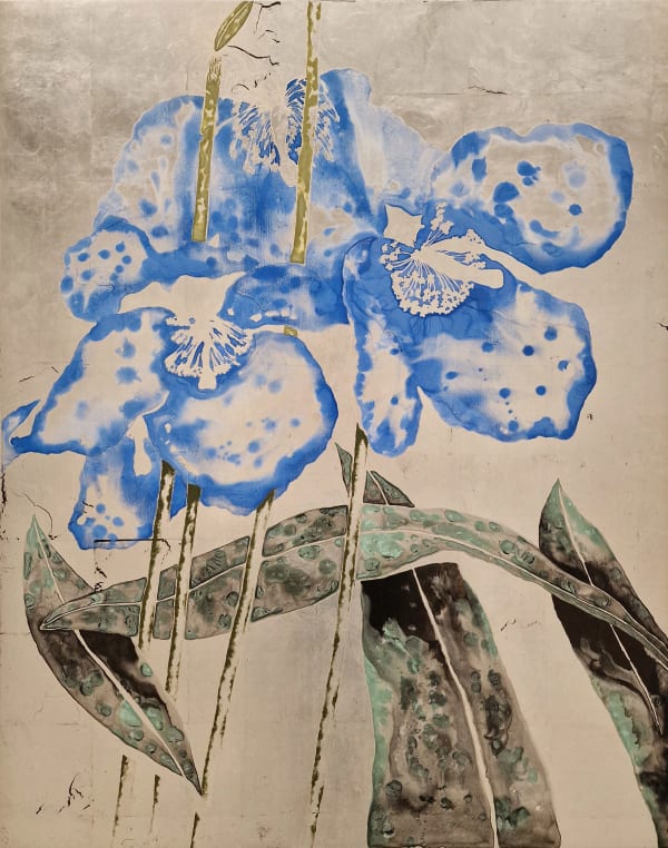 TIMOTHY BETJEMAN, Meconopsis Agbt