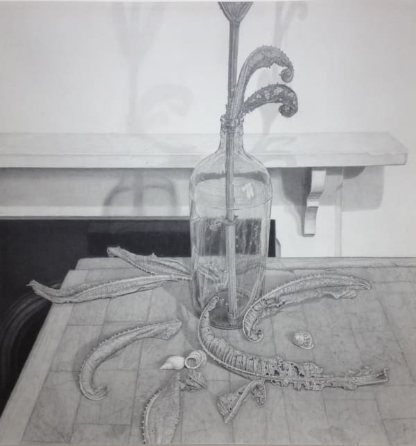 EDMUND CHAMBERLAIN, Still Life with Teasel and Shells