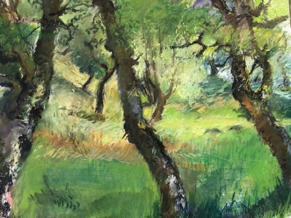 LINDA HEATHCOAT-AMORY, Spring Birches, 2020