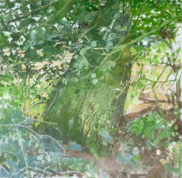 PATRICK GEORGE, The Oak Tree