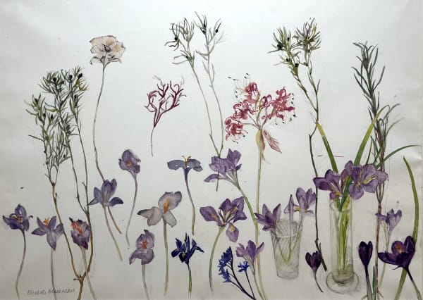ELIZABETH BLACKADDER, Irises and Crocuses