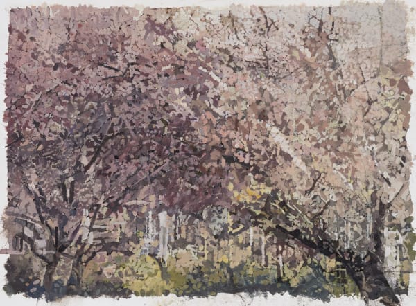 EILEEN HOGAN, Blossom Manchester Square 1 , 2020