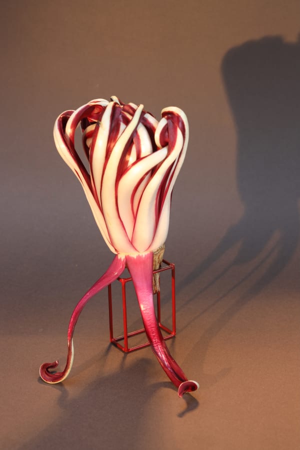 Harriet Challis, Signorina Radicchio (2023)
