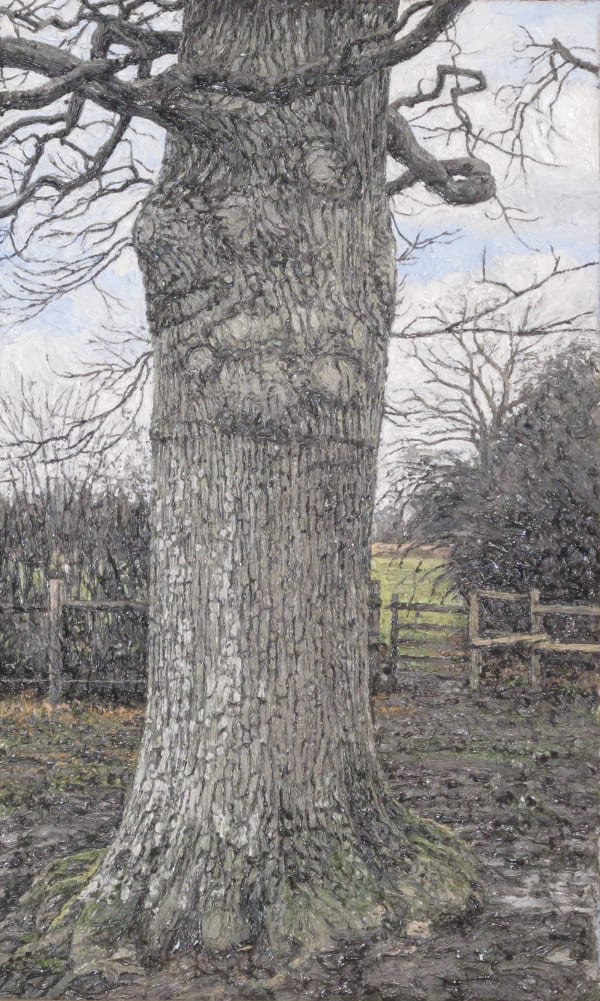 EDMUND CHAMBERLAIN, Oak Trunk
