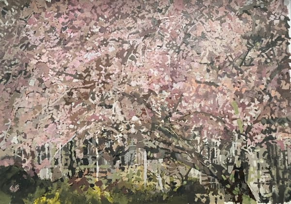 EILEEN HOGAN, Lockdown Blossom, Manchester Square, 2020