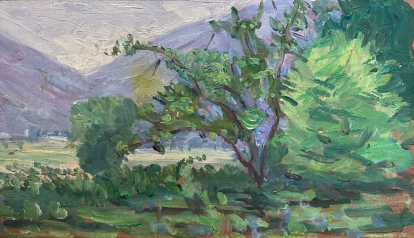 PAUL DELANCE, Paysage et Collines