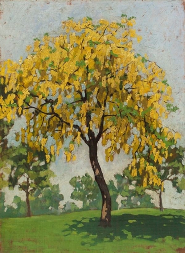 PHYLLIS ANNIE EYTON, Laburnum Tree
