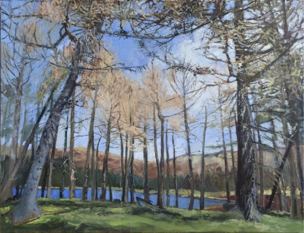 LINDA HEATHCOAT-AMORY, The Lost Wood, Winter, 2016-19