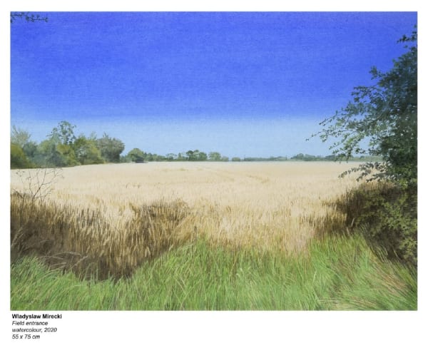 WLADYSLAW MIRECKI, Field Entrance, 2020