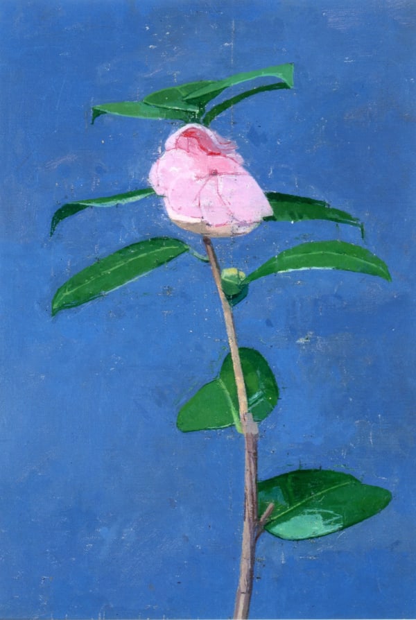 EUAN UGLOW, Souvenir de Bahaud Litou (double camellia), 1999
