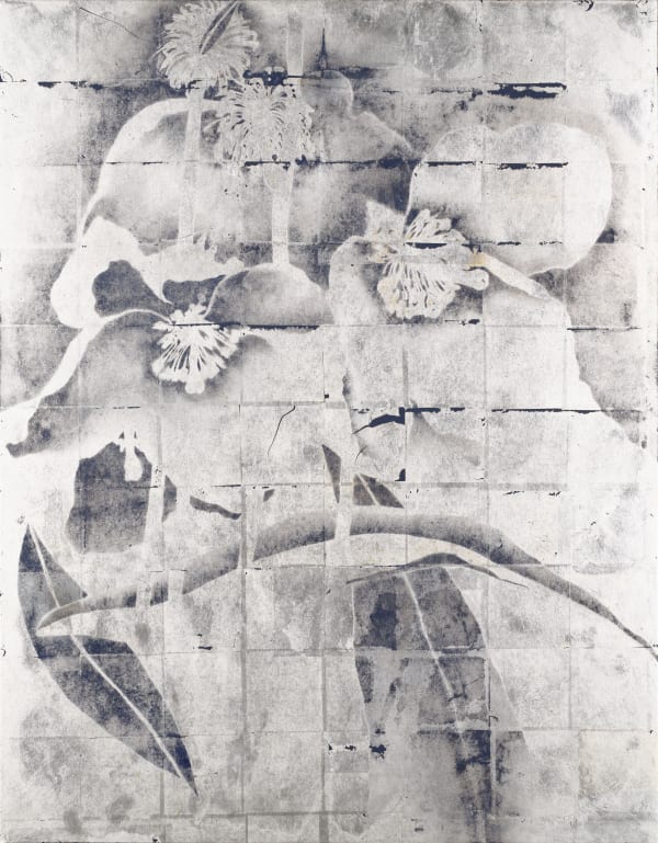 TIMOTHY BETJEMAN, Meconopsis Ag/b*r