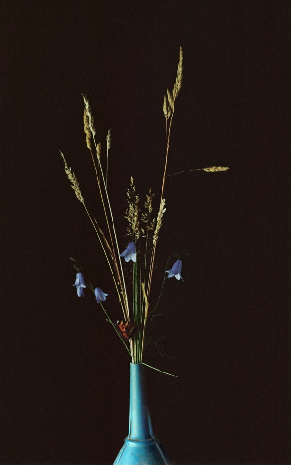 Harriet Challis, Still Life with Petrol Funnel (2023)