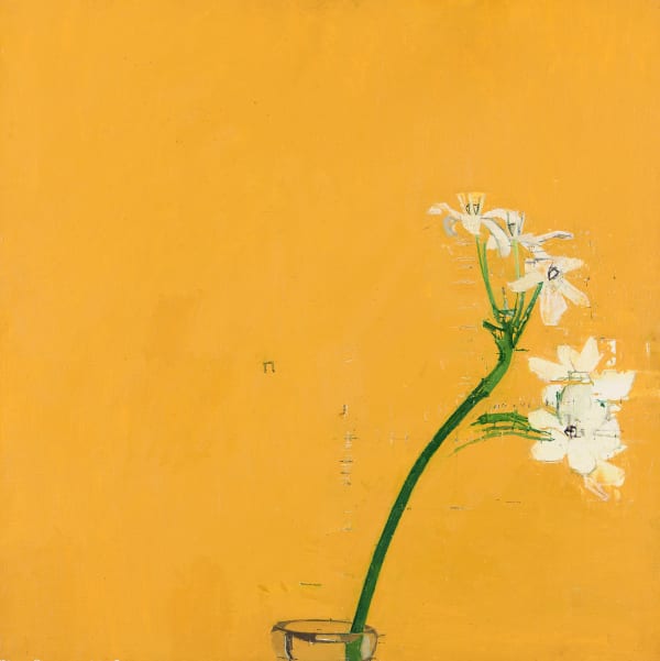 EUAN UGLOW, Narcissus on Yellow Background, 1978