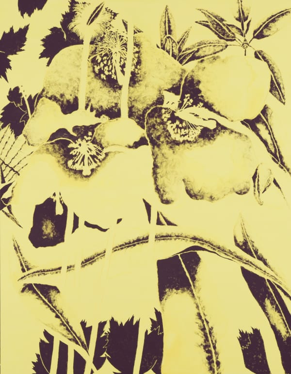 TIMOTHY BETJEMAN, Meconopsis y/p*a