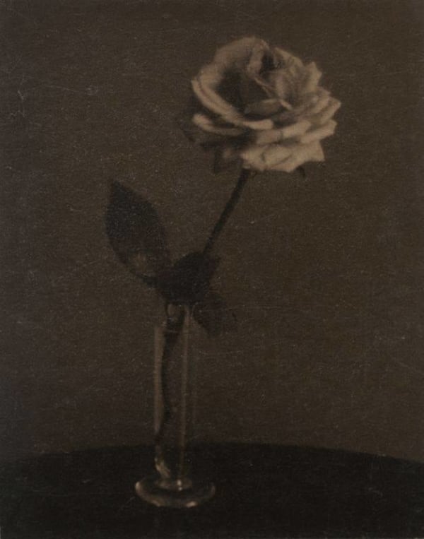 Paul Outerbridge, Untitled (Vase with a Single Rose), 1926
