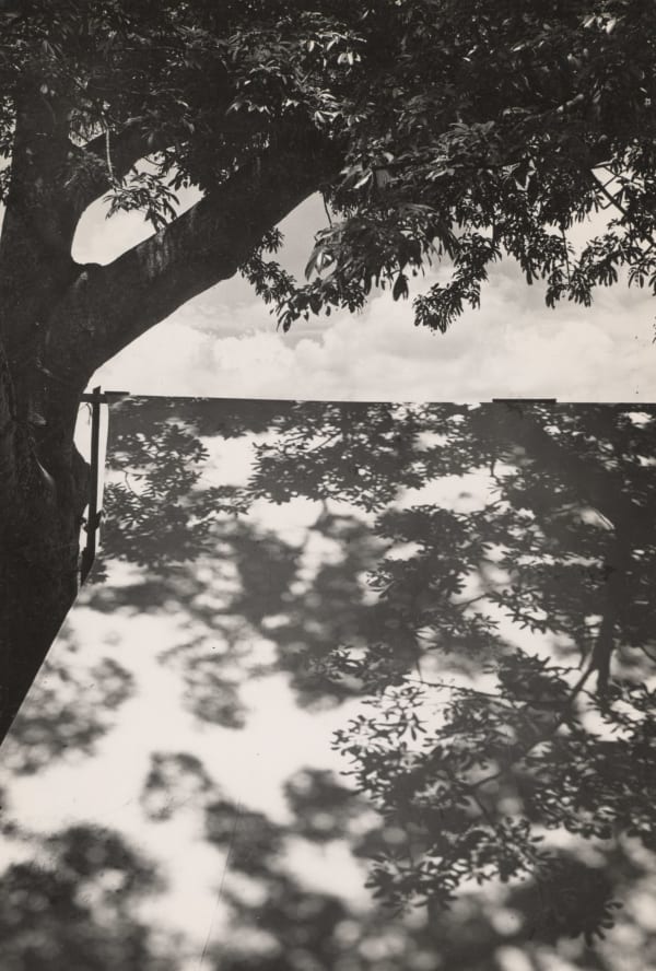 Luz Restirada (Lengthened Light)
