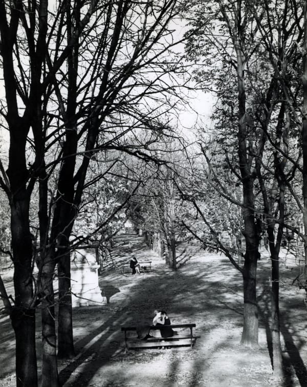 Couple Kissing on Park Bench, November 4