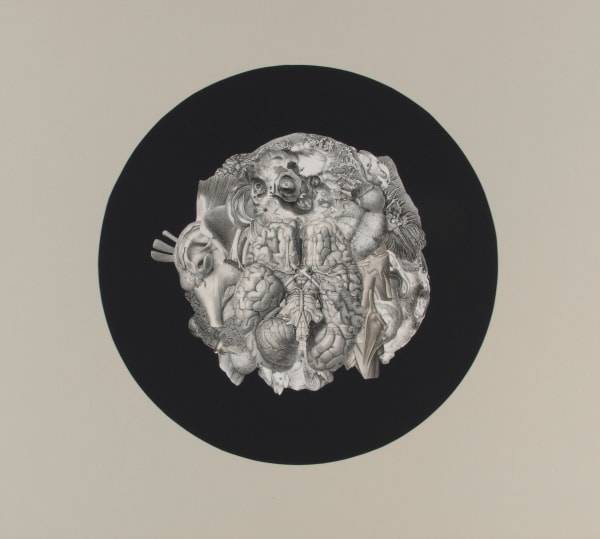 Frederick Sommer Untitled, 1994 Collage on paper 15 9/16 x 17 7/16 in (39.53 x 44.29 cm)