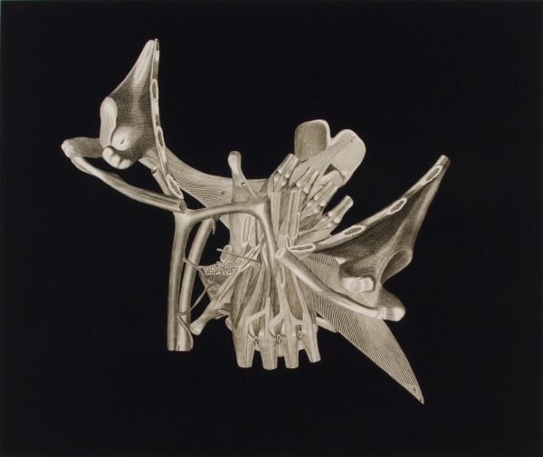 Frederick Sommer Untitled, 1995-99 Collage on paper 12 x 14 1/4 in (30.48 x 36.2 cm)