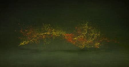 Shinichi Maruyama, Garden #10, 2010