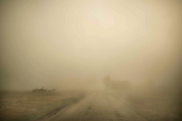 Todd Hido, 11798-3574, 2017