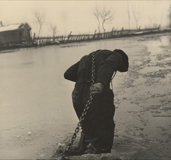 Flood of Tisza River, Hungary