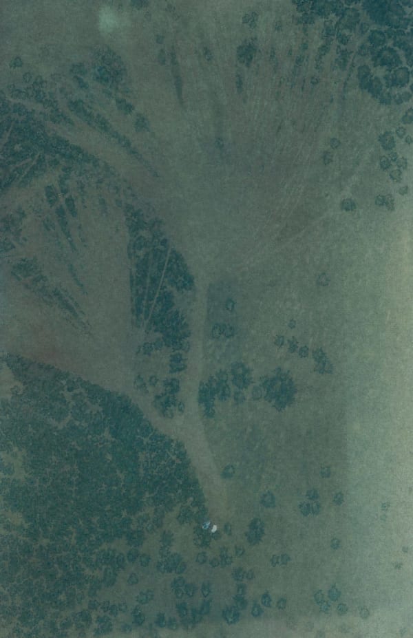 Dakota Mace Tó (Water) IV, 2021 Digital archival print of scanned cyanotypes 24 x 36 in (61 x 91.4 cm) Framed: 26 1/2 x 38 1/2 in
