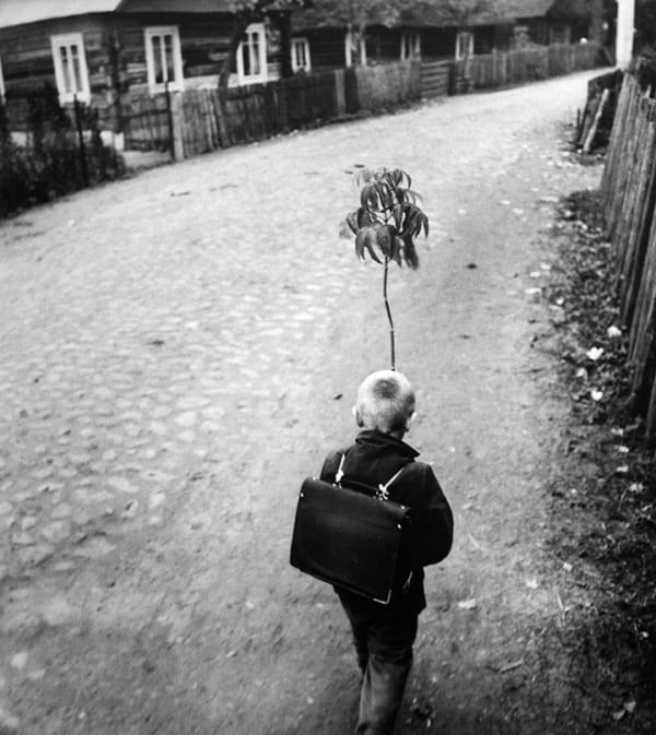 Childhood, Lithuania, Dzukija