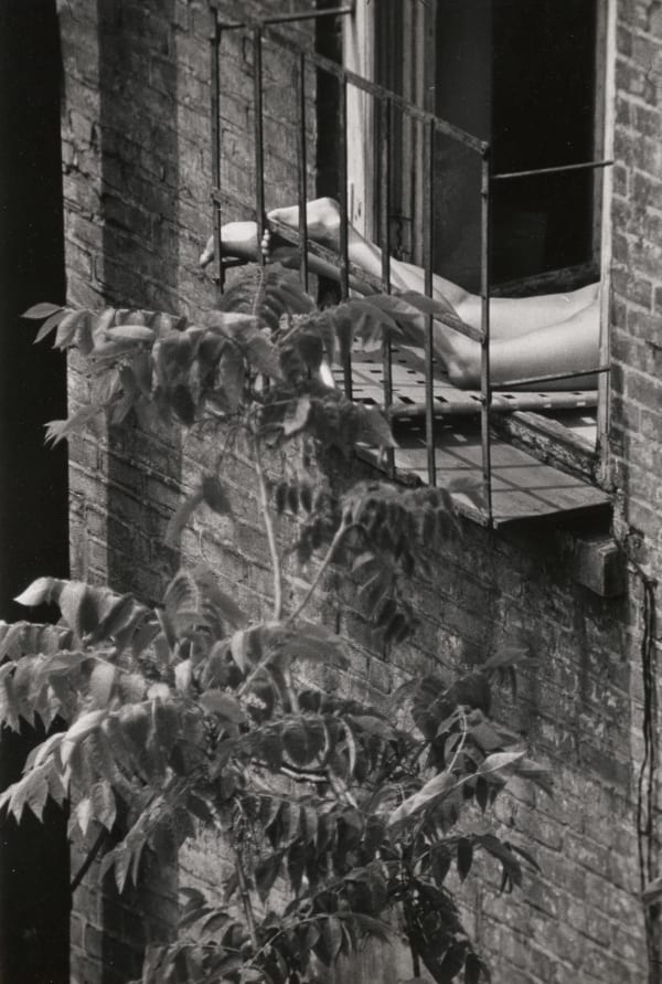 Woman's Legs Sunbathing Through Window