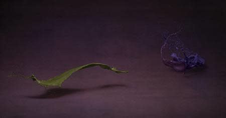 Shinichi Maruyama, Garden #4, 2010