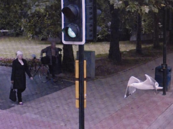 A Series of Unfortunate Events #20