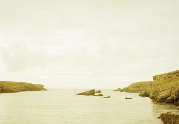 Ster Vraz, Frankreich