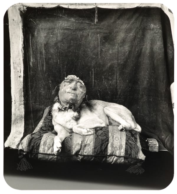 Dog on a Pillow, Marseilles