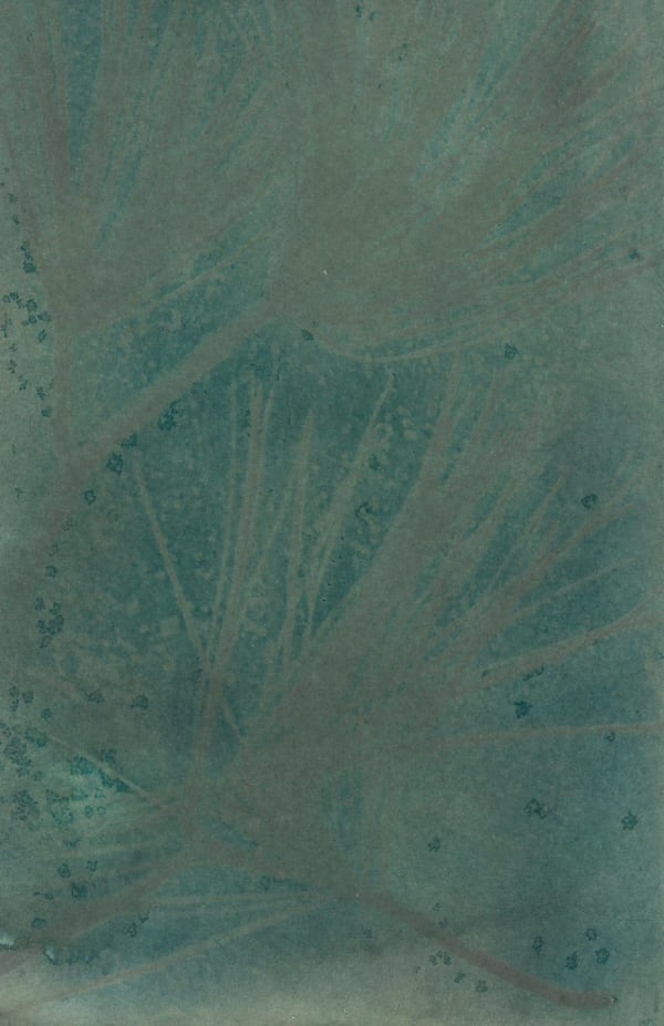 Dakota Mace Tó (Water) II, 2021 Digital archival print of scanned cyanotypes 24 x 36 in (61 x 91.4 cm) Framed: 26 1/2 x 38 1/2 in