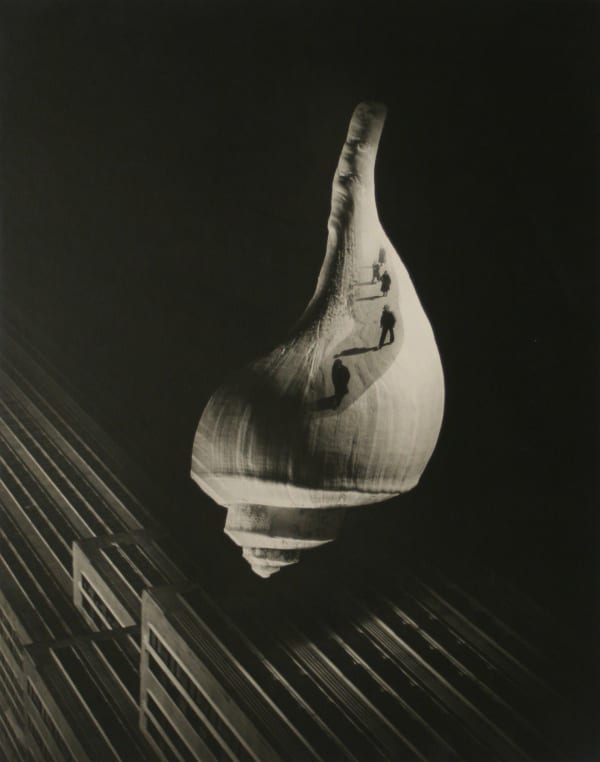 City Shell